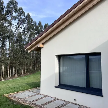 El Llendon De Pinos San Feliz (Villaviciosa, Asturias)